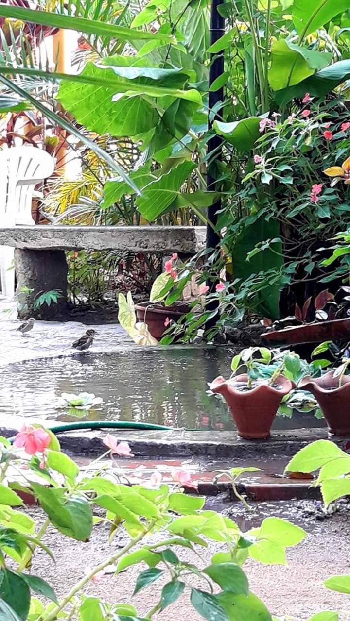 Pousada Brumar Rio de Janeiro Zewnętrze zdjęcie